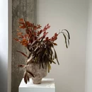 皮勒画廊 PILLARS GALLERY - 上海旅游 缩略图 8