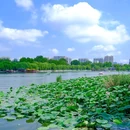 晨瀚酒店(济南唐冶绿地城店) - 济南市旅游 缩略图 7