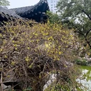 乔园 - 泰州市旅游 缩略图 4