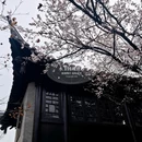 乔园 - 泰州市旅游 缩略图 3