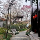 乔园 - 泰州市旅游 缩略图 9