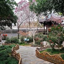 乔园 - 泰州市旅游 缩略图 7