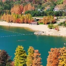四季逸境酒店(金华高铁站银泰城店) - 金华市旅游 缩略图 5