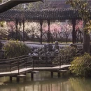苏州旅游 缩略图 6