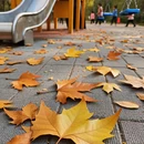 西安旅游 缩略图 7