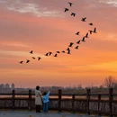 西安旅游 缩略图 6