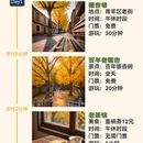 成都旅游 缩略图 1