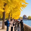 北京旅游 缩略图 9