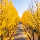 北京旅游 缩略图 7