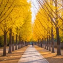 北京旅游 缩略图 3