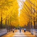 北京旅游 缩略图 4