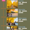 北京旅游 缩略图 2