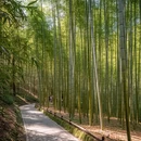 杭州旅游 缩略图 6