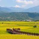 南京旅游 缩略图 3