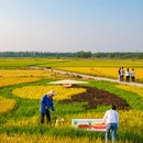 南京旅游 缩略图 2