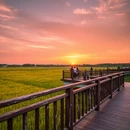 南京旅游 缩略图 5