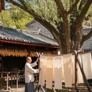 丽江旅游 缩略图 4