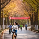 南京旅游 缩略图 5