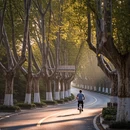 南京旅游 缩略图 4