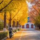 南京旅游 缩略图 8