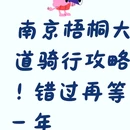 南京旅游 缩略图 1