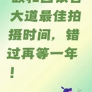 北京旅游 缩略图 1