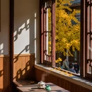 成都旅游 缩略图 8