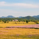 南京旅游 缩略图 9