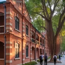 广州旅游 缩略图 7