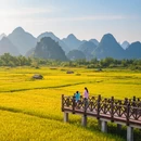 南京旅游 缩略图 5