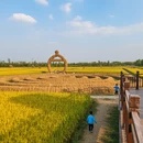 南京旅游 缩略图 3
