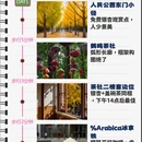 成都旅游 缩略图 1