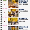 成都旅游 缩略图 2