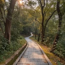 广州旅游 缩略图 4