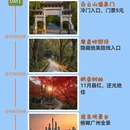 广州旅游 缩略图 1