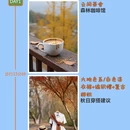 广州旅游 缩略图 2