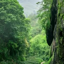 武夷山风景名胜区 - 南平市旅游 缩略图 2