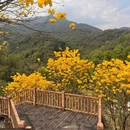 天竺山森林公园 - 厦门市旅游 缩略图 1