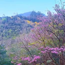 天竺山森林公园 - 厦门市旅游 缩略图 8