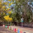 天竺山森林公园 - 厦门市旅游 缩略图 6