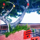 后田村 - 厦门市旅游 缩略图 7