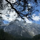 玉龙雪山国家级风景名胜区-云杉坪 - 丽江市旅游 缩略图 3