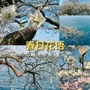 北京景山公园 - 北京市旅游 缩略图 1