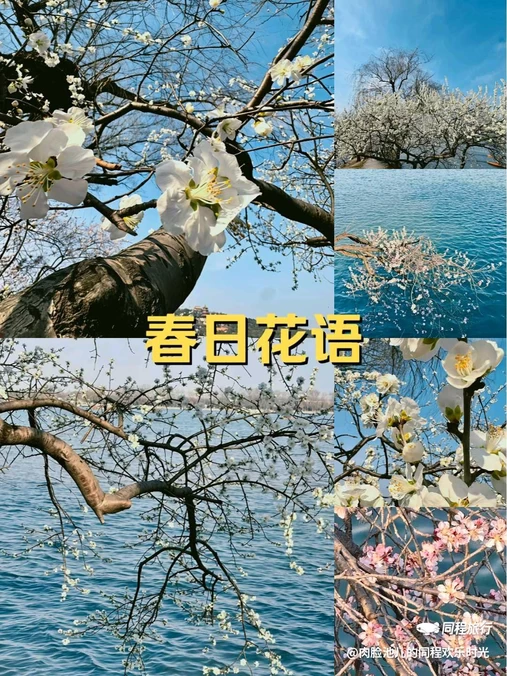 北京景山公园 - 北京市旅游
