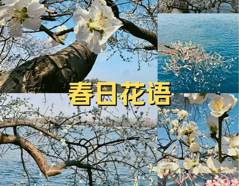 北京景山公园 - 北京市旅游 1