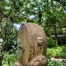 广州兰圃 - 广州市旅游 缩略图 3