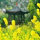 你好酒店(重庆观音桥红旗河沟地铁站店) - 重庆市旅游 缩略图 6