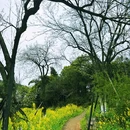你好酒店(重庆观音桥红旗河沟地铁站店) - 重庆市旅游 缩略图 9