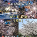 南京博物院 - 南京市旅游 缩略图 3