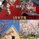 南京博物院 - 南京市旅游 缩略图 2